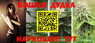 гашик Гусь-Хрустальный