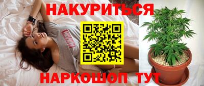 гашик Гусь-Хрустальный