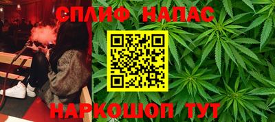 гашик Гусь-Хрустальный