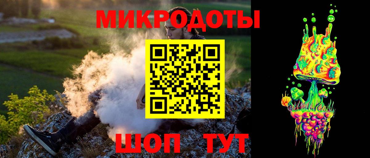 Галлюциногенные грибы Psilocybe Курган